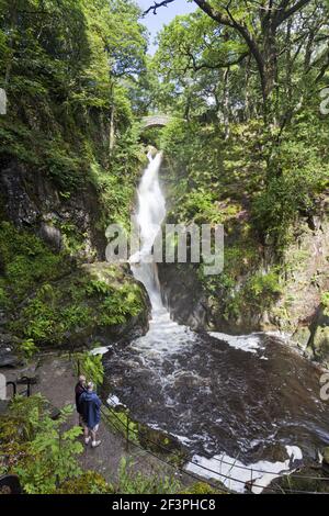 Die Aira Force-Wasserfall im englischen Lake District im Ullswater, Cumbria UK Stockfoto