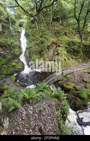 Die Aira Force-Wasserfall im englischen Lake District im Ullswater, Cumbria UK Stockfoto