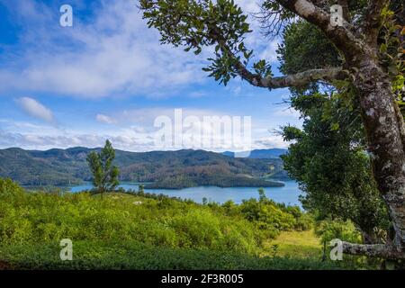 Schöner Emerald Lake am Stadtrand von Ooty (Tamil Nadu, Indien) Stockfoto