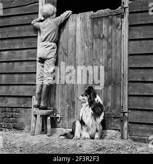 Ein informelles Porträt eines Kindes und Hundes in Great Munden, Hertfordshire, zeigt das Kind, das auf einem dreibeinigen Hocker steht und über eine stabile Tür blickt. Stockfoto