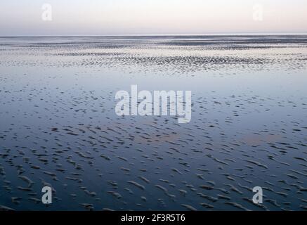 Geriffeltes flaches Meer bei Ebbe, Wattenmeer, Niederlande Stockfoto