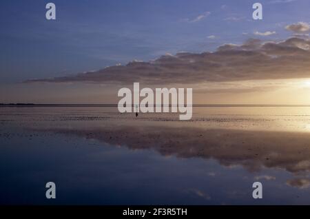 Wolkenspiegelung bei Ebbe am Wattenmeer, Niederlande Stockfoto