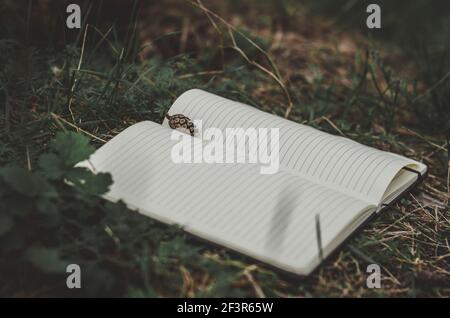Seitenansicht eines Notizbuchs auf einem grasbewachsenen Waldbett Mit einem launischen dunkelgrünen Vibe Stockfoto