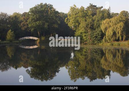 Blick über den Worlitzer See auf eine weiße Brücke im Worlitzer Park, dem Gartenreich Dessau-Worlitz, Sachsen-Anhalt, Deutschland. Stockfoto