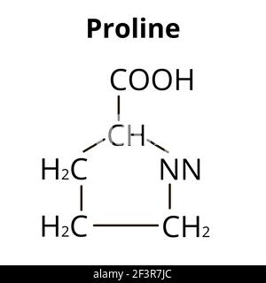 Aminosäure Prolin. Chemische molekulare Formel Prolin Aminosäure. Vektorgrafik auf isoliertem Hintergrund Stock Vektor
