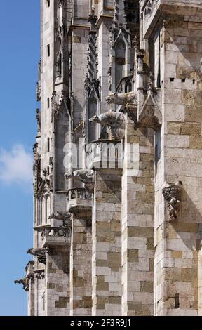 Wasserspeier und Reliefs an der S¸dseite, Regensburg, Dom St. Peter Stockfoto