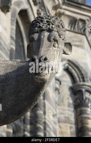 Domkuh am Südwestturm, Bamberg, Dom Stockfoto