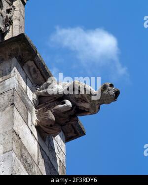 Affe. Wasserspeier am Chor des Regensburger Doms., Regensburg, Dom St. Peter Stockfoto