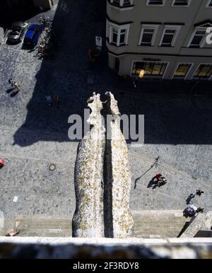 Hirsch. Wasserspeier an der S¸dseite des Regensburger Doms., Regensburg, Dom St. Peter Stockfoto