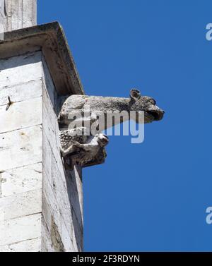 Hund. Wasserspeier am Regensburger Dom., Regensburg, Dom St. Peter Stockfoto