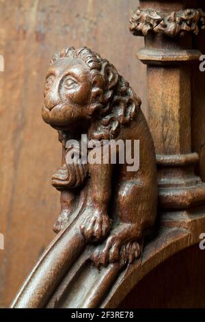 Detail eines hölzernen Löwen in Chorgestüllen der Kirche, Köln, Deutschland Stockfoto