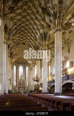 Kirchenschiff Altar und gewölbte Decke der gotischen Kirche, Pirna, Sachsen, Deutschland Stockfoto