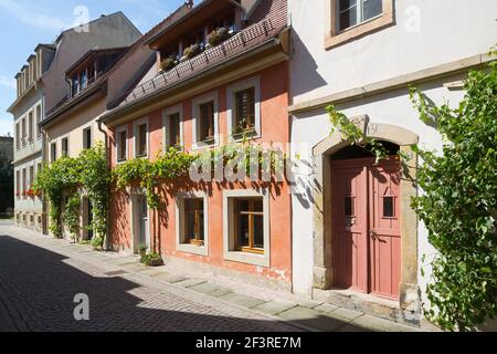 Weinreben wachsen an Fassaden barocker Stadthäuser in gepflasterter Straße, Pirna, Sachsen, Deutschland Stockfoto