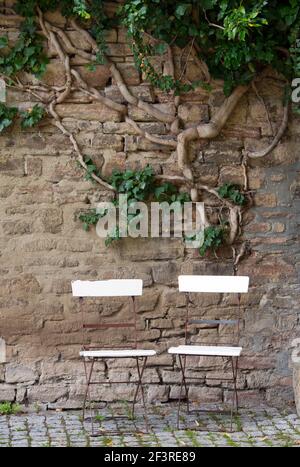 Klostergarten, Wand im Klosterhof mit Gartenstuhl und Efeu, Drubeck, Sachsen-Anhalt, Deutschland, Architekten: Drübeck, Harz, K Stockfoto