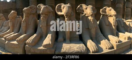 Karnak Temple Complex Ägypten Avenue von RAM-headed Sphinxes der RAM Symbolisieren ägyptischen Gott Amun Schutz der königlichen Bildnisse von Rameses II in der fo Stockfoto