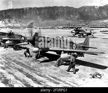 Nordamerikanische F-51D Mustang-Kämpfer der 2. Staffel der südafrikanischen Luftwaffe in Korea, am 1. Mai 1951. Stockfoto