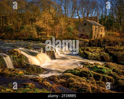 Die alte Mühle am Fluss Teifi bei Cenarth in Westwales Stockfoto