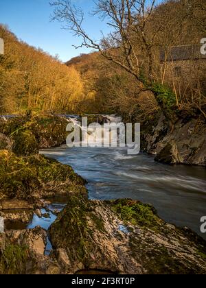 Die Wasserfälle auf dem Fluss Teifi bei Cenarth im Westen Wales Stockfoto