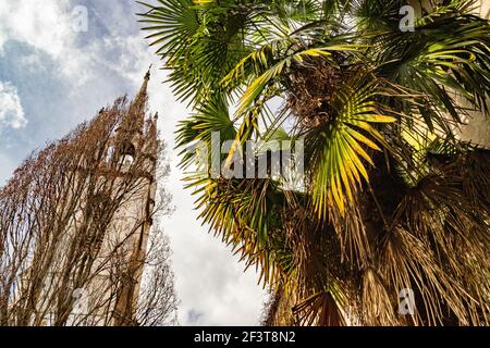 Blick auf einen gotischen Kirchturm und eine Fächerpalme, die ein leichtes mediterranes Feeling schaffen. St Dunstan-im-Osten, City of London Stockfoto