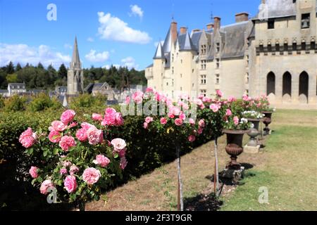 Gärten im Chateau de Langeais, Loire-Tal, Frankreich Stockfoto