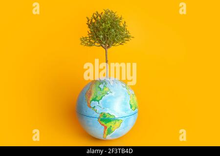 Ökologie und Umweltschutz Konzept. Lebender Baum wächst vom Planeten Erde auf einem reinen farbigen Hintergrund. Erhaltung der Natur. Stockfoto