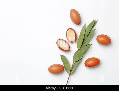 Argan-Samen auf weißem Hintergrund isoliert. Arganöl Nüsse mit Pflanze. Kosmetik und natürliche Öle Hintergrund. Stockfoto