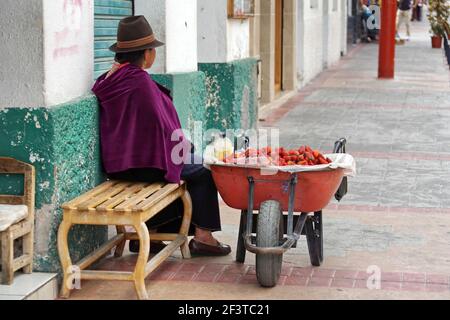 Indigene Frau verkauft frisches Obst von einer Schubkarre auf dem Bürgersteig in Cotacachi, Ecuador Stockfoto