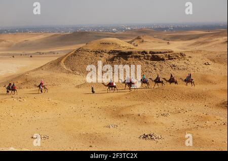 Touristen auf Kamelen auf dem Gizeh Plateau in Kairo, Ägypten. Kairo Stadtbild auf Hintergrund Stockfoto