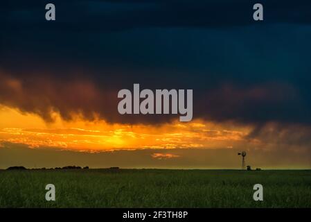 Stürmischer Himmel in der Landschaft von Pampas, Provinz La Pampa, Patagonien, Argentinien. Stockfoto