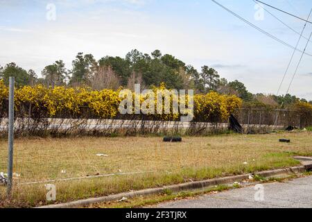 Augusta, GA USA - 03 17 21: Reifenmüll und Müll am Straßenrand Stockfoto