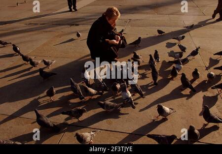 EINE FRAU FÜTTERT DIE TRAFALGAR SQ TAUBEN ALS WÄRTERIN ANNÄHERUNGEN.,14/11/03 PILSTON Stockfoto