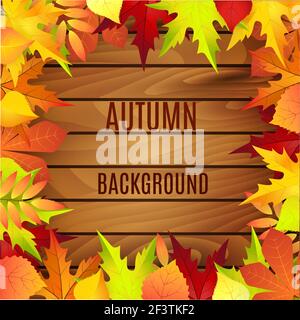 Herbst schöner Hintergrund Stock Vektor