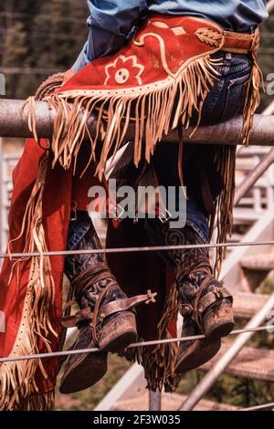 Ein Cowboy, der bei einem Rodeo-Stierreiten antritt, sitzt auf dem Zaun und erwartet ihn in seinen gesäumten Lederbeinen, Stiefeln und Spornen. Stockfoto