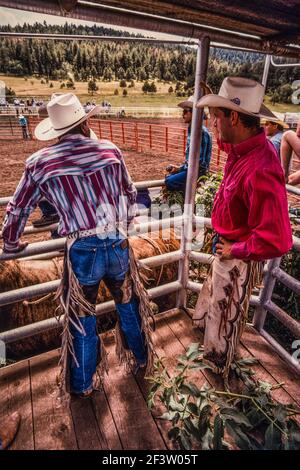 Cowboys, die beim Stierreiten teilnehmen, warten auf einen Bullen in der Bucking-Rutsche in einem Kleinstadt-Rodeo in New Mexico. Stockfoto