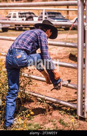 Ein Cowboy schnallen seine Sporne an, um sich auf einen Stierritt-Wettbewerb in einem Kleinstadtrodeo in New Mexico vorzubereiten. Stockfoto