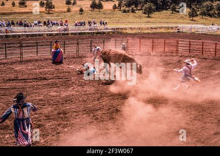 Die Rodeo-Clowns oder Stierkämpfer lenken den Bullen ab, um den Cowboy zu schützen, nachdem er bei einem Kleinstadtrodeo in New Mexico abgekuckt wurde. Stockfoto