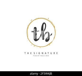 T B TB Anfangsbuchstabenhandschrift und Signaturlogo. Ein Konzept handschriftlich Initiallogo mit Template-Element. Stock Vektor