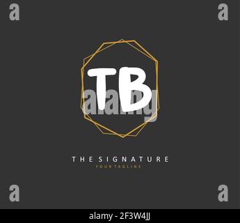 T B TB Anfangsbuchstabenhandschrift und Signaturlogo. Ein Konzept handschriftlich Initiallogo mit Template-Element. Stock Vektor