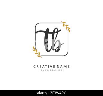T B TB Anfangsbuchstabenhandschrift und Signaturlogo. Ein Konzept handschriftlich Initiallogo mit Template-Element. Stock Vektor