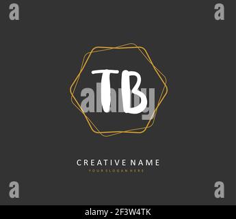 T B TB Anfangsbuchstabenhandschrift und Signaturlogo. Ein Konzept handschriftlich Initiallogo mit Template-Element. Stock Vektor