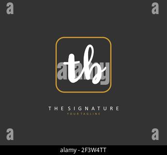 T B TB Anfangsbuchstabenhandschrift und Signaturlogo. Ein Konzept handschriftlich Initiallogo mit Template-Element. Stock Vektor