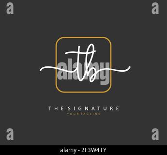 T B TB Anfangsbuchstabenhandschrift und Signaturlogo. Ein Konzept handschriftlich Initiallogo mit Template-Element. Stock Vektor