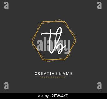 T B TB Anfangsbuchstabenhandschrift und Signaturlogo. Ein Konzept handschriftlich Initiallogo mit Template-Element. Stock Vektor