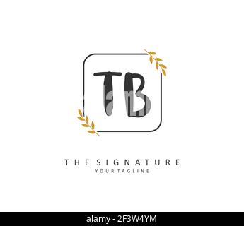 T B TB Anfangsbuchstabenhandschrift und Signaturlogo. Ein Konzept handschriftlich Initiallogo mit Template-Element. Stock Vektor