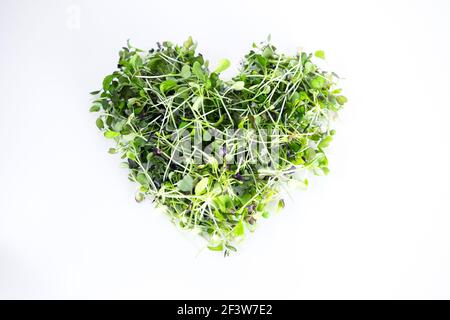 Brassica Brokkoli und Rotkohl Mikrogemüse in Herzform isoliert Stockfoto