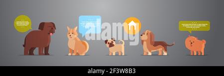 Gruppe von reinrassigen Hunden pelzigen menschlichen Freunden Heim Haustiere Sammlung Konzept Cartoon Tiere horizontal Stock Vektor