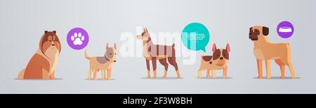 Gruppe von reinrassigen Hunden mit pelzigen menschlichen Freunden Heimtiere Sammlung Konzept Cartoon Tiere horizontal Stock Vektor