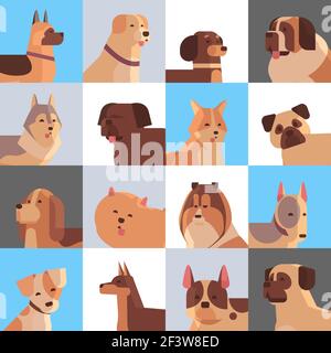 Setzen Sie verschiedene reinrassige Hunde pelzigen menschlichen Freunden Heimtiere Sammlung Konzept Cartoon Tiere Set Portrait Stock Vektor