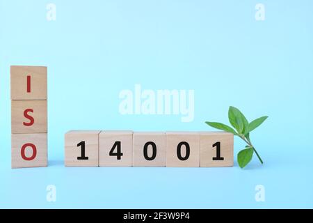 ISO 14001 oder Umweltmanagementsystem auf Holzblöcken auf blauem Hintergrund mit grünem Blatt. Stockfoto