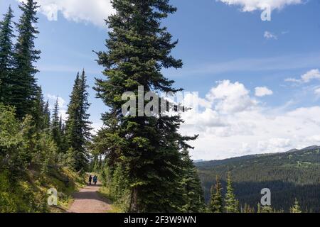 Mutter und Sohn wandern auf einem alpinen Pfad, Manning Park, British Columbia, Kanada Stockfoto